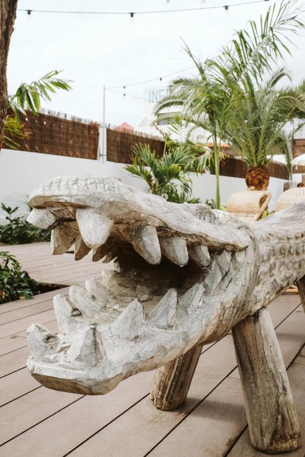 Dreamsea Surf House Fuerteventura Vandrerhjem Corralejo Eksteriør bilde